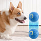 Smart Interactive USB Moving Dog Toy Ball - Chew Puppy Fun