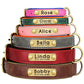 Personalized PU Leather Dog Collar with Engraved Nameplate