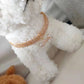 Sparkling Rhinestone Pet Collar for Dogs & Cats | Adjustable Luxury Necklace