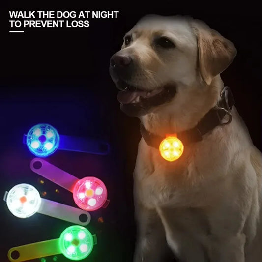 USB Rechargeable LED Dog Collar | Weatherproof Safety Light