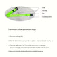 Nylon LED Flashing Dog Leash | Night Safety for Dogs