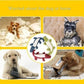 Interactive Alligator Plush Dog Toy - Sound & Teeth Training