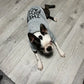 The Dog Face Inspired Warm Dog Hoodie & Wind Coat - All Sizes