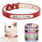 Personalized Bling Leather Cat & Small Dog Collar with Engraved ID