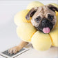 No-Mess Baby & Pet Paw Print Ink Pad Kit | Keepsake Souvenir Canada
