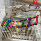 Vibrant Wooden Bird Ladder & Swing Toy for Small Parrots