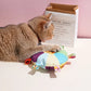 Rainbow Plush Flying Disc Dog Toy Interactive Chew & Fun