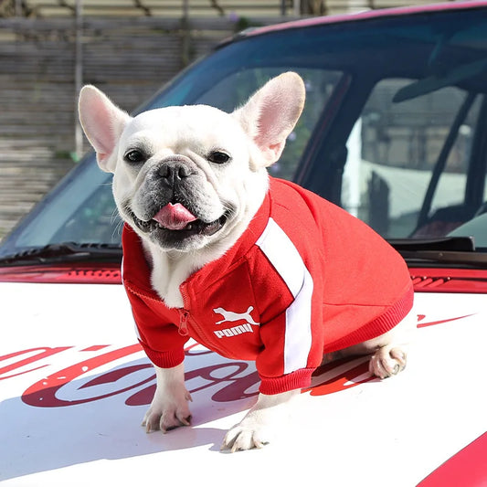 Winter Baseball Dog Jacket Hoodie for Small/Medium Dogs