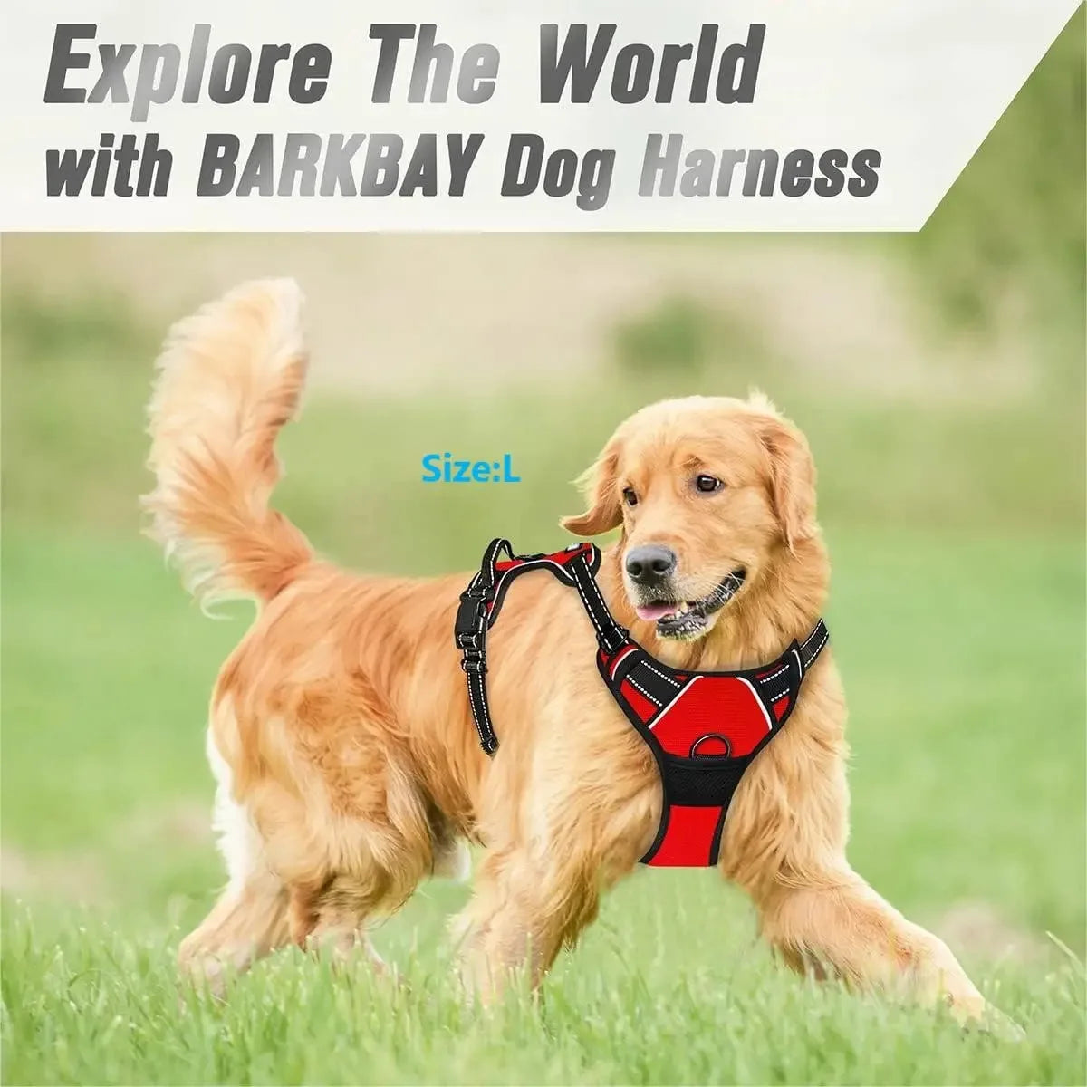 Canadian Leather Dog Collars, Harnesses & Leashes Set