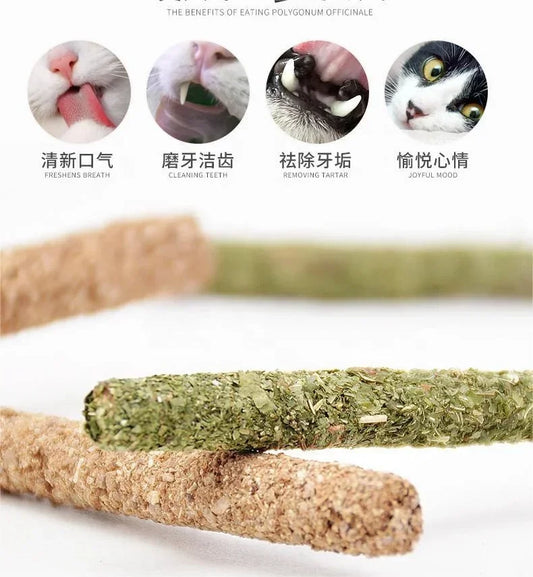 6-Pack Natural Matatabi & Silvervine Cat Sticks | Dental Health
