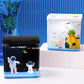 Silent Mini Desktop Betta Fish Tank with LED & Filter | Canada