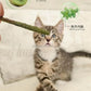 6-Pack Natural Matatabi & Silvervine Cat Sticks | Dental Health