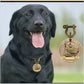 Custom Engraved Bronze Dog ID Tag | Personalized Pet Nameplate