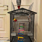 Vibrant Wooden Bird Ladder & Swing Toy for Small Parrots