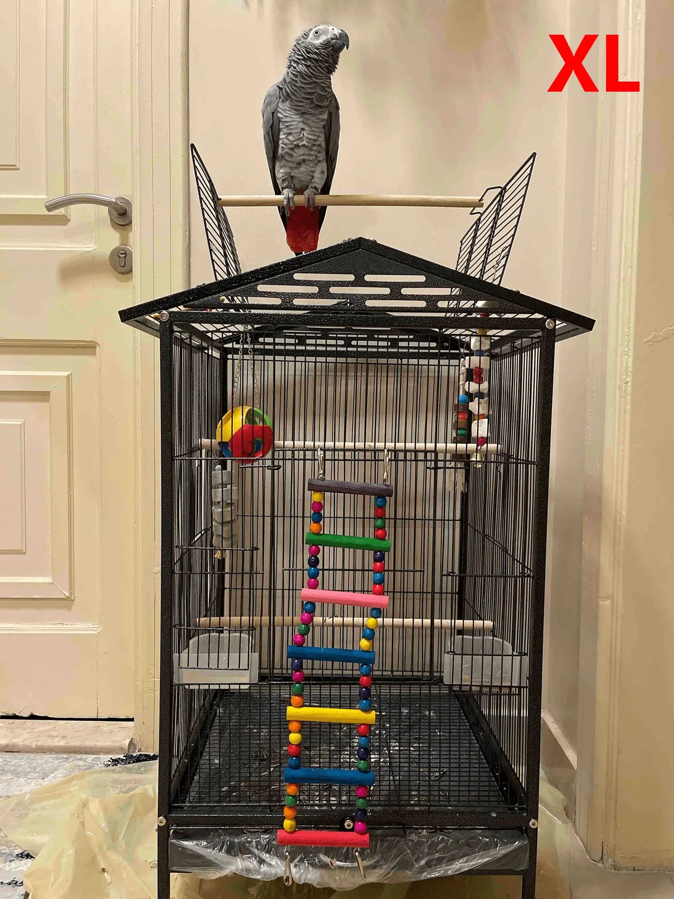 Vibrant Wooden Bird Ladder & Swing Toy for Small Parrots