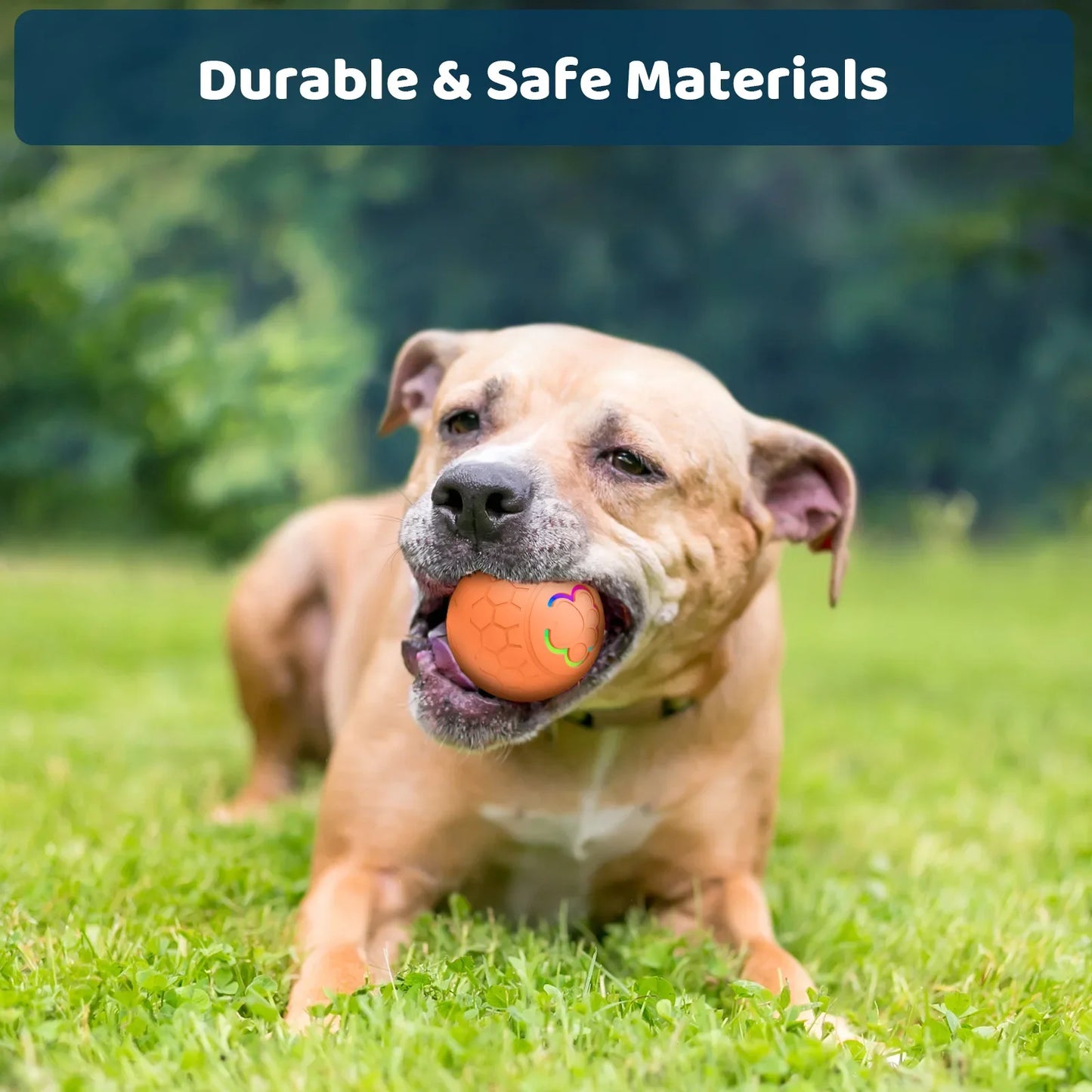 Xiaomi Smart Pet Ball: LED Auto-Bounce Dog & Cat Toy
