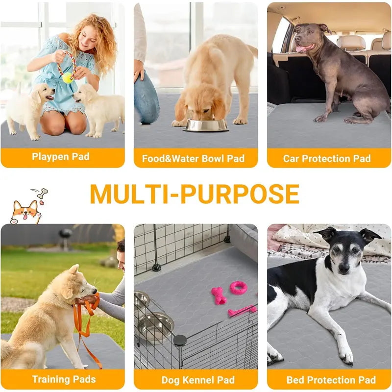 Reusable Washable Dog Pee Pad | Waterproof Absorbent Mat
