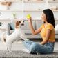 Xiaomi Smart Pet Ball: LED Auto-Bounce Dog & Cat Toy