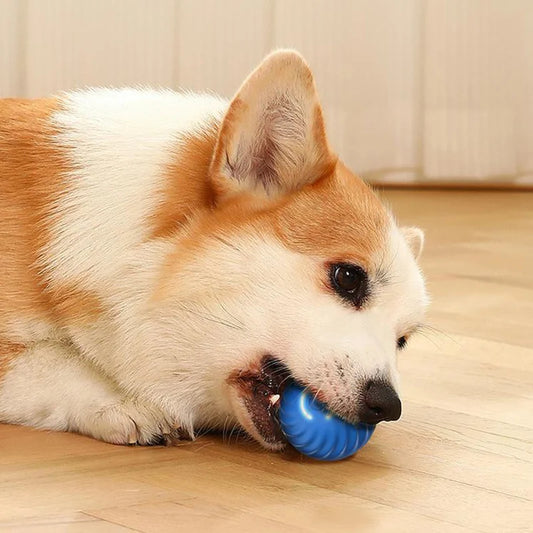 Smart Interactive USB Moving Dog Toy Ball - Chew Puppy Fun