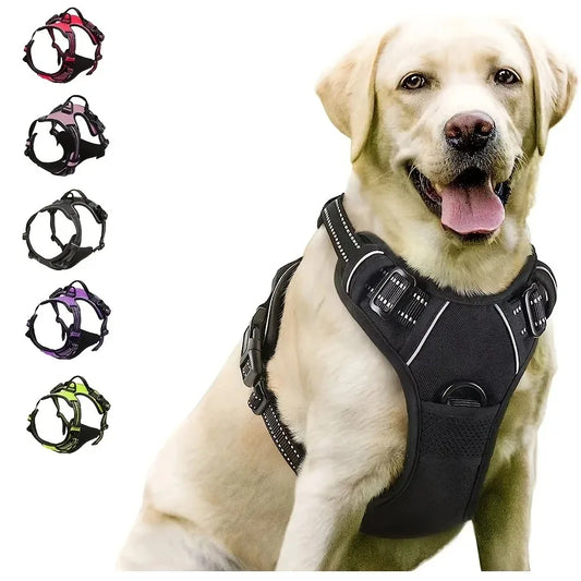 Canadian Leather Dog Collars, Harnesses & Leashes Set