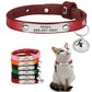 Personalized Leather Cat Collar - Engraved Name & Anti-Lost Canada