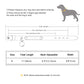 Personalized Leather Cat Collar - Engraved Name & Anti-Lost Canada