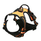 Canadian Leather Dog Collars, Harnesses & Leashes Set