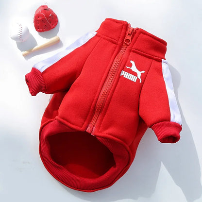 Winter Baseball Dog Jacket Hoodie for Small/Medium Dogs