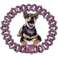 Luxury Diamond Cuban Dog Collar - Secure Metal Chain & Buckle for Pets