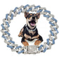 Luxury Diamond Cuban Dog Collar - Secure Metal Chain & Buckle for Pets