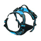 Canadian Leather Dog Collars, Harnesses & Leashes Set
