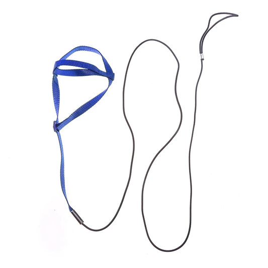 Parrot Bird Harness & Leash for Outdoor Flying & Training