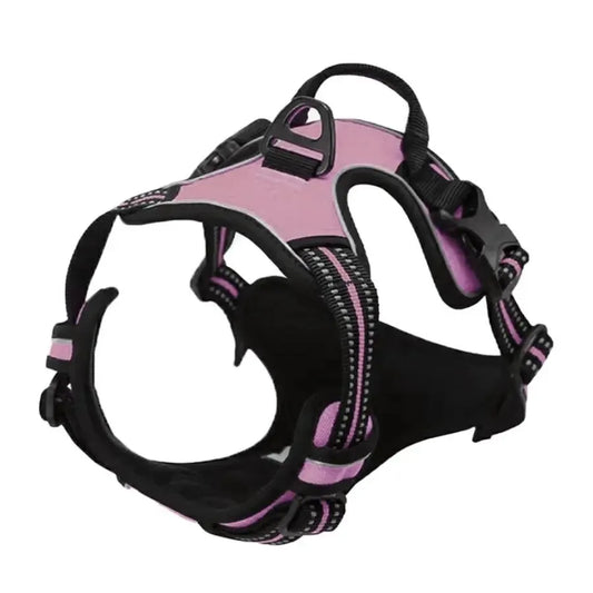 Canadian Leather Dog Collars, Harnesses & Leashes Set