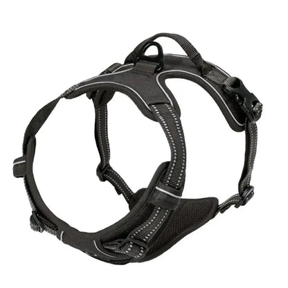 Canadian Leather Dog Collars, Harnesses & Leashes Set