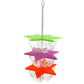 Bird Bite Toys Parrot Foraging Feeder | Acrylic Hanging Treat Toy