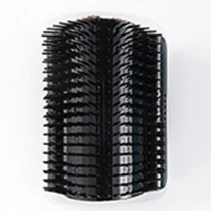 Cat Corner Scrubber Massager & Self-Grooming Brush | Pet Canada