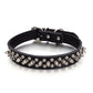 Anti-Bite Leather Pet Collar with Bullet-Proof Rivets