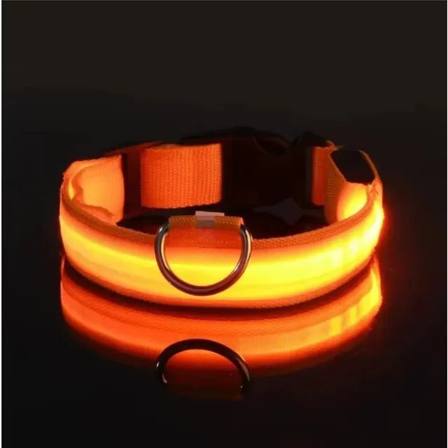 Nylon LED Flashing Dog Leash | Night Safety for Dogs