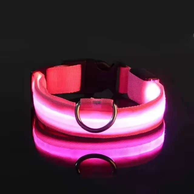 Nylon LED Flashing Dog Leash | Night Safety for Dogs