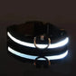 Nylon LED Flashing Dog Leash | Night Safety for Dogs